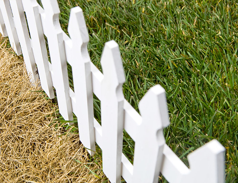 The Grass Is Greener On The Other Side Omegasonics