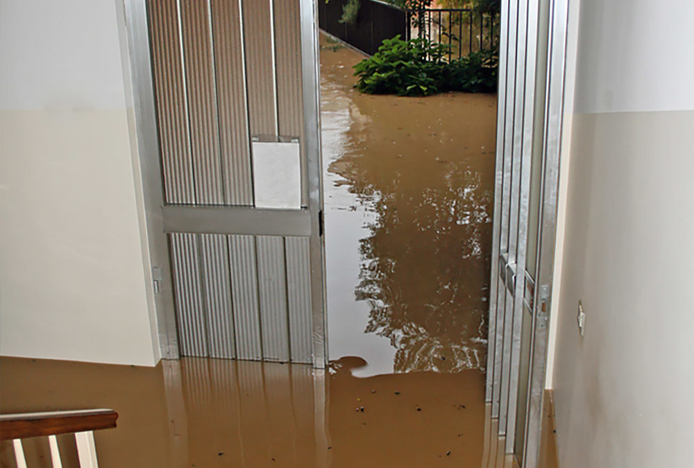 Save Those Fire- & Flood-Damaged Items (Using Ultrasonic Cleaning)