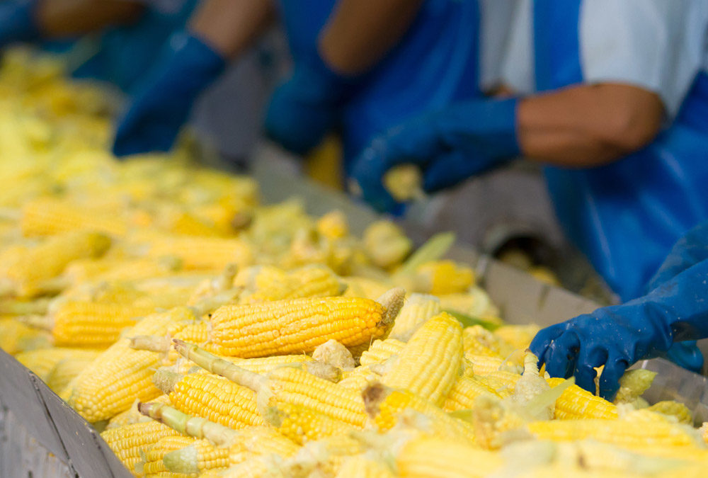 Using Ultrasonic Cleaning Technology for Food Plants