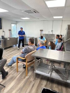 best contents restoration training